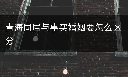 青海同居与事实婚姻要怎么区分