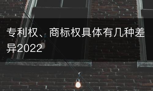 专利权、商标权具体有几种差异2022
