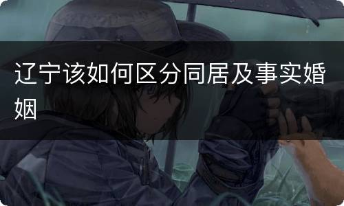 辽宁该如何区分同居及事实婚姻