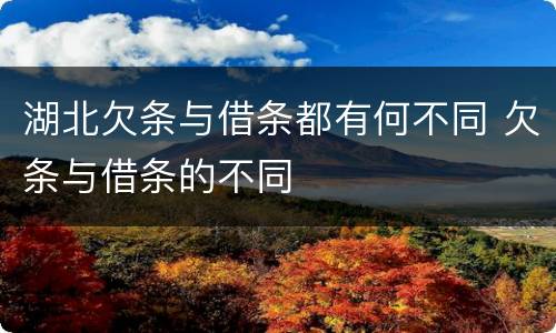 湖北欠条与借条都有何不同 欠条与借条的不同