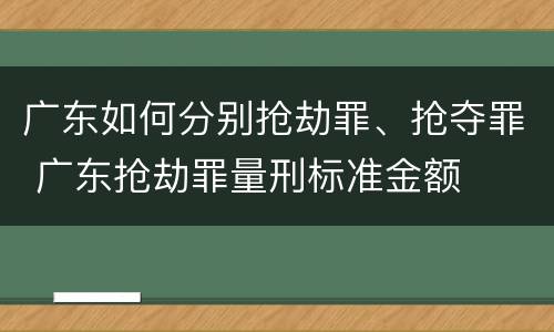 广东如何分别抢劫罪、抢夺罪 广东抢劫罪量刑标准金额