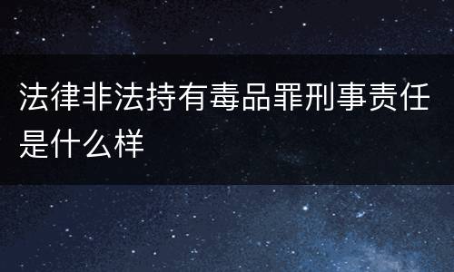 法律非法持有毒品罪刑事责任是什么样