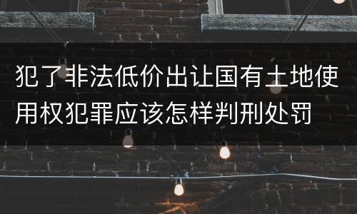 犯了非法低价出让国有土地使用权犯罪应该怎样判刑处罚 犯了非法低价出让国有土地使用权犯罪应该怎样判刑处罚