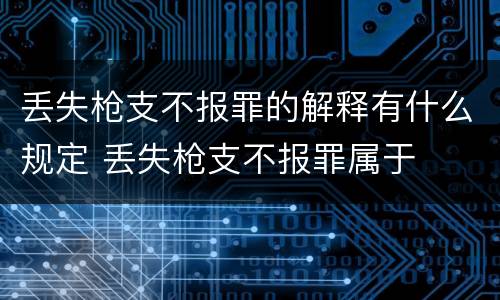 丢失枪支不报罪的解释有什么规定 丢失枪支不报罪属于