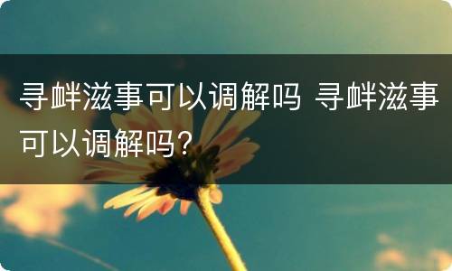 寻衅滋事可以调解吗 寻衅滋事可以调解吗?
