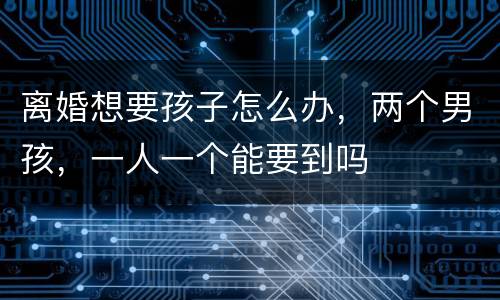 离婚想要孩子怎么办，两个男孩，一人一个能要到吗