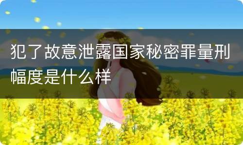 犯了故意泄露国家秘密罪量刑幅度是什么样