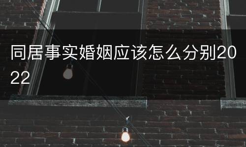 同居事实婚姻应该怎么分别2022