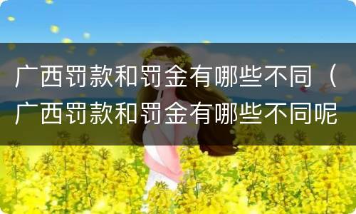 广西罚款和罚金有哪些不同（广西罚款和罚金有哪些不同呢）