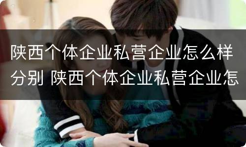 陕西个体企业私营企业怎么样分别 陕西个体企业私营企业怎么样分别缴税