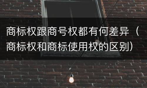 商标权跟商号权都有何差异（商标权和商标使用权的区别）