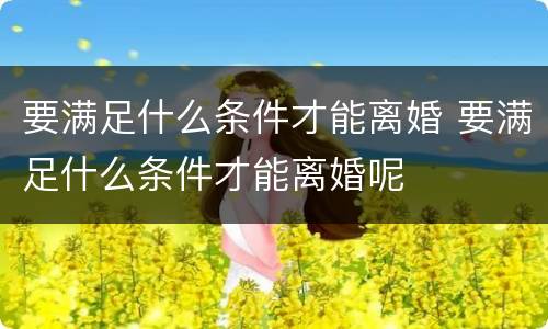 要满足什么条件才能离婚 要满足什么条件才能离婚呢