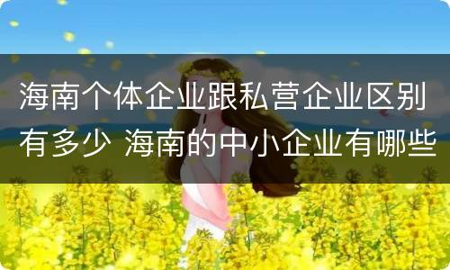 海南个体企业跟私营企业区别有多少 海南的中小企业有哪些