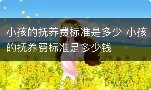 小孩的抚养费标准是多少 小孩的抚养费标准是多少钱