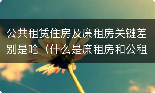 公共租赁住房及廉租房关键差别是啥（什么是廉租房和公租房两个有什么特点）