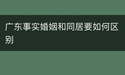 广东事实婚姻和同居要如何区别