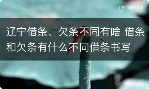 辽宁借条、欠条不同有啥 借条和欠条有什么不同借条书写