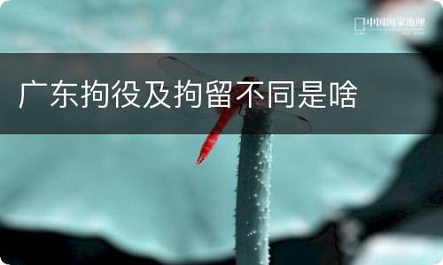 广东拘役及拘留不同是啥