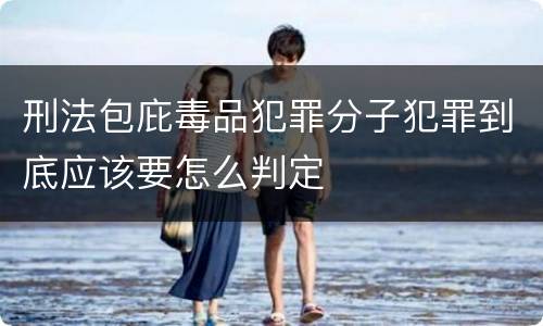 刑法包庇毒品犯罪分子犯罪到底应该要怎么判定