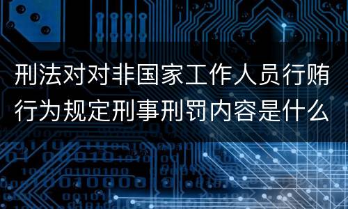 刑法对对非国家工作人员行贿行为规定刑事刑罚内容是什么样