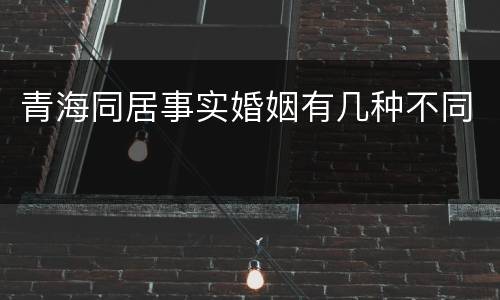 青海同居事实婚姻有几种不同