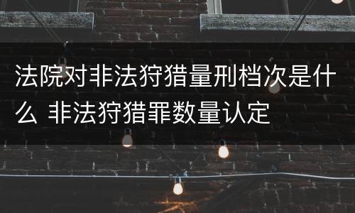法院对非法狩猎量刑档次是什么 非法狩猎罪数量认定