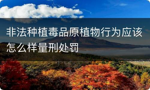 非法种植毒品原植物行为应该怎么样量刑处罚