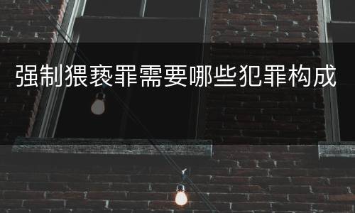 强制猥亵罪需要哪些犯罪构成