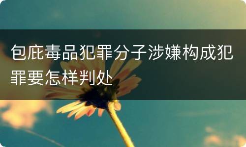 包庇毒品犯罪分子涉嫌构成犯罪要怎样判处