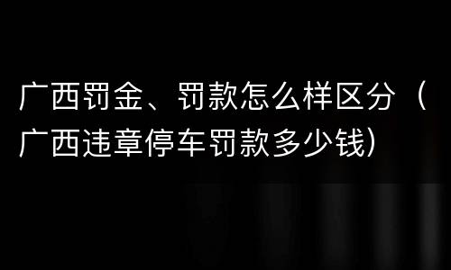 广西罚金、罚款怎么样区分（广西违章停车罚款多少钱）