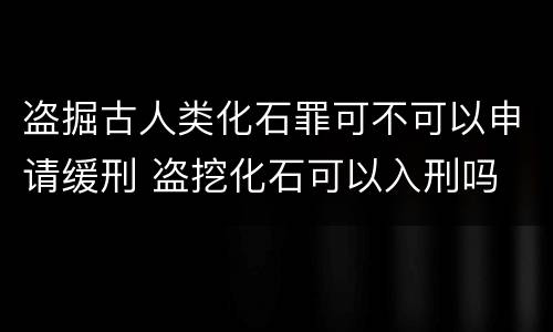 盗掘古人类化石罪可不可以申请缓刑 盗挖化石可以入刑吗