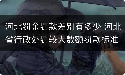 河北罚金罚款差别有多少 河北省行政处罚较大数额罚款标准