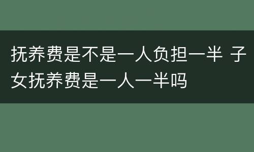 抚养费是不是一人负担一半 子女抚养费是一人一半吗
