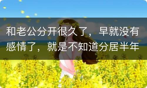 和老公分开很久了，早就没有感情了，就是不知道分居半年就自动离婚，是真的吗