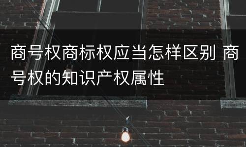 商号权商标权应当怎样区别 商号权的知识产权属性