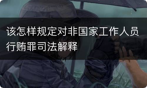 该怎样规定对非国家工作人员行贿罪司法解释