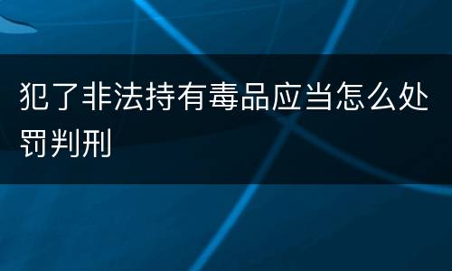 犯了非法持有毒品应当怎么处罚判刑