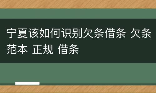 宁夏该如何识别欠条借条 欠条范本 正规 借条