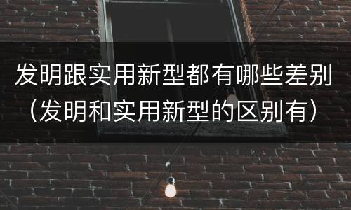 发明跟实用新型都有哪些差别（发明和实用新型的区别有）