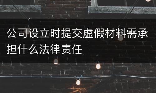 公司设立时提交虚假材料需承担什么法律责任 公司设立时提交虚假材料需承担什么法律责任