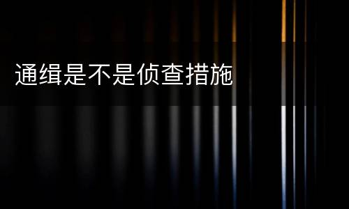 通缉是不是侦查措施