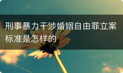 刑事暴力干涉婚姻自由罪立案标准是怎样的
