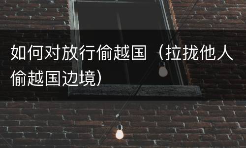 如何对放行偷越国（拉拢他人偷越国边境）