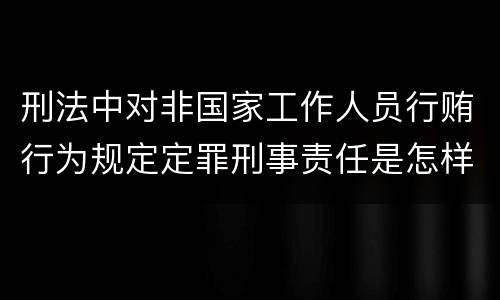 刑法中对非国家工作人员行贿行为规定定罪刑事责任是怎样