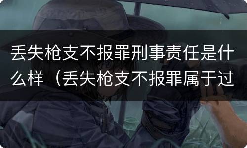 丢失枪支不报罪刑事责任是什么样（丢失枪支不报罪属于过失犯罪吗）