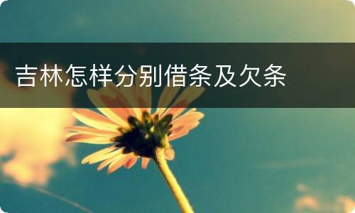 吉林怎样分别借条及欠条