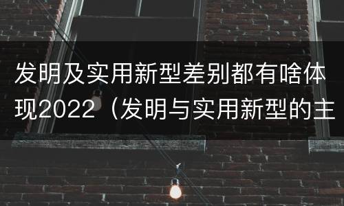 发明及实用新型差别都有啥体现2022（发明与实用新型的主要区别）