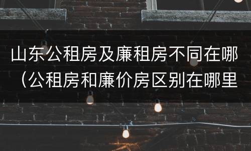 山东公租房及廉租房不同在哪（公租房和廉价房区别在哪里）