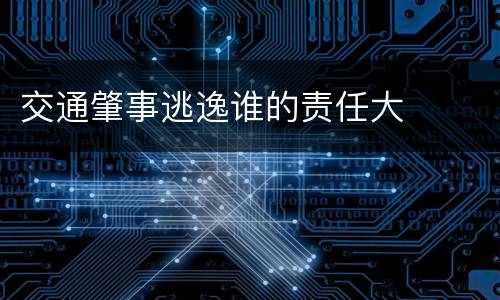 交通肇事逃逸谁的责任大