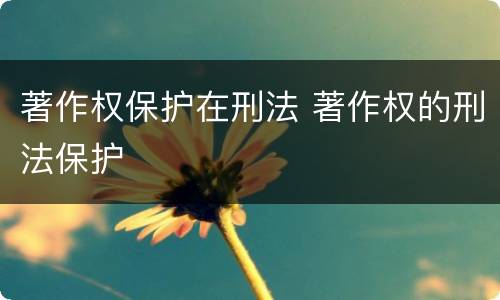 著作权保护在刑法 著作权的刑法保护